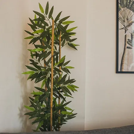 Rose 4 Marvellous 1+1 Cleopatra *